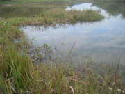 A village back-swamp close to B. Koua in Sangthong District in December 2011